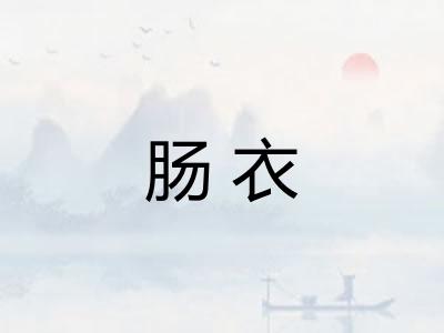 肠衣