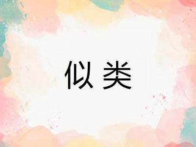 似类 似类