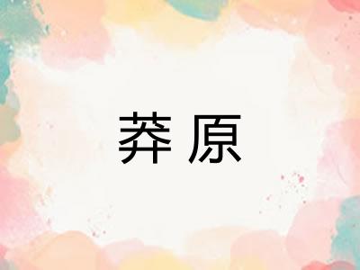 莽原