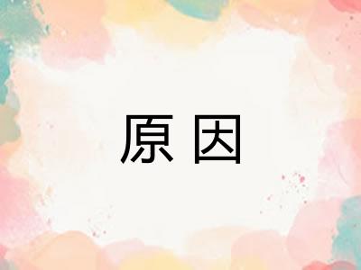 原因 原因