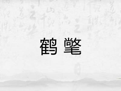 鹤氅 鹤氅