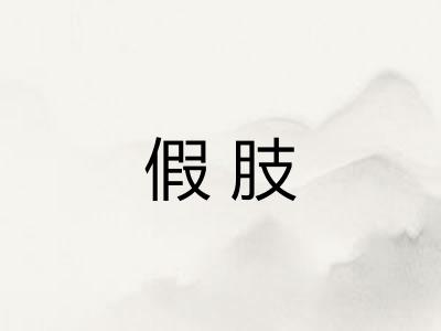 假肢 假肢