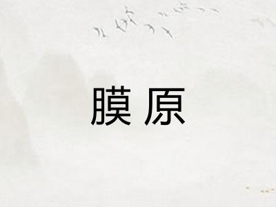 膜原