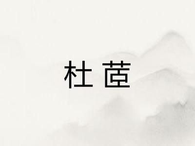 杜茝 杜茝