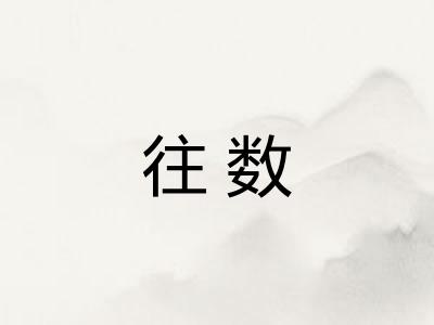 往数 往数