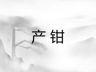 产钳