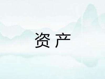资产 资产