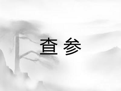 查参 查参