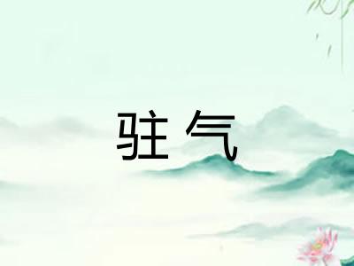 驻气 驻气
