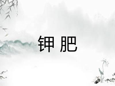 钾肥 钾肥