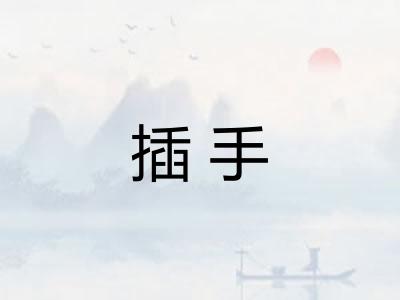 插手