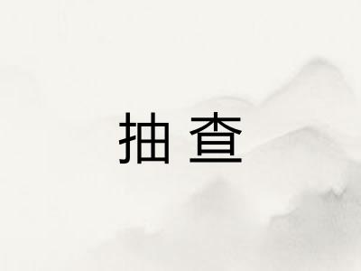 抽查 抽查