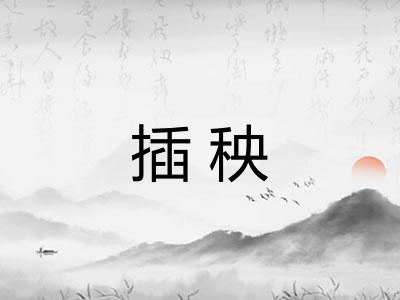 插秧