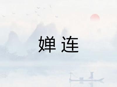 婵连 婵连