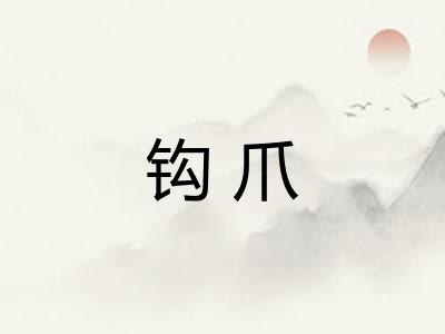 钩爪 钩爪