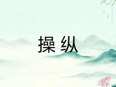 操纵 操纵