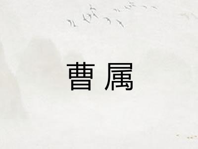 曹属 曹属