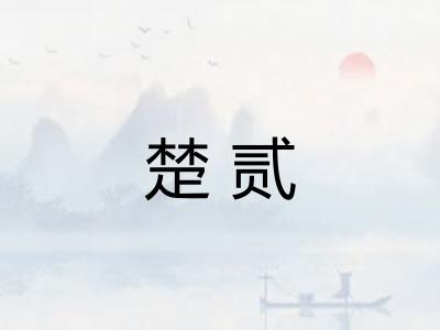 楚贰
