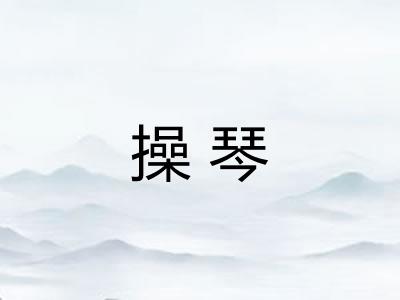 操琴 操琴