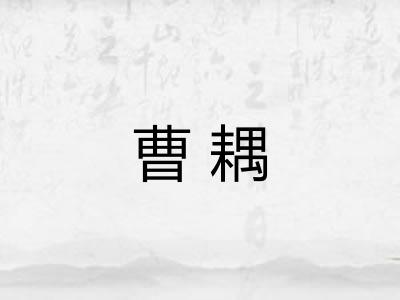 曹耦 曹耦