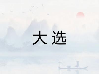 大选 大选