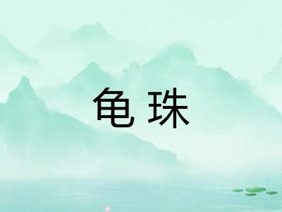龟珠