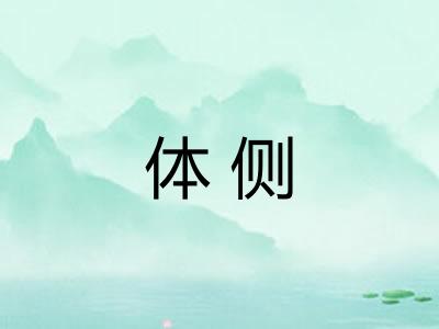 体侧