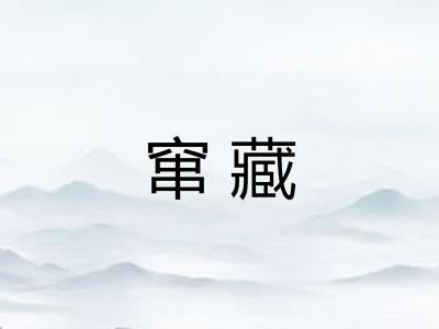 窜藏 窜藏