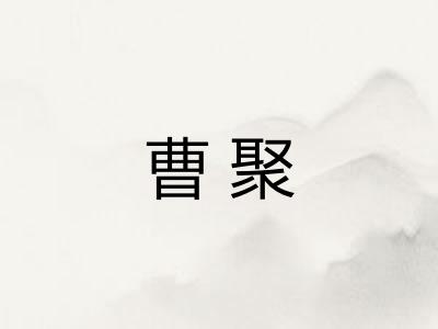 曹聚 曹聚