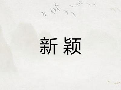 新颖 新颖