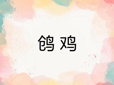 鸧鸡 鸧鸡