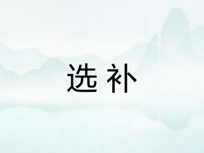选补 选补