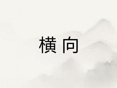 横向 横向