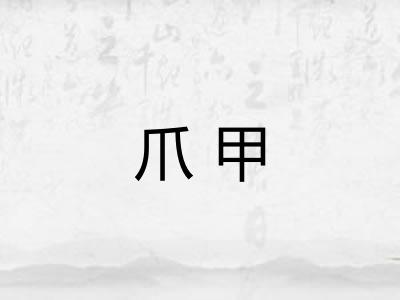爪甲 爪甲