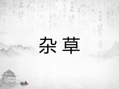 杂草 杂草
