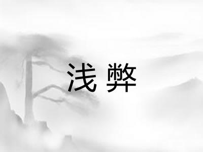浅弊 浅弊