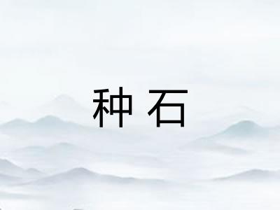 种石 种石