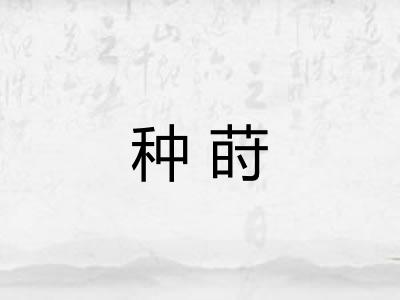 种莳 种莳
