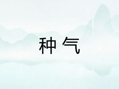种气
