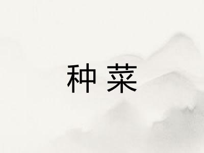 种菜 种菜