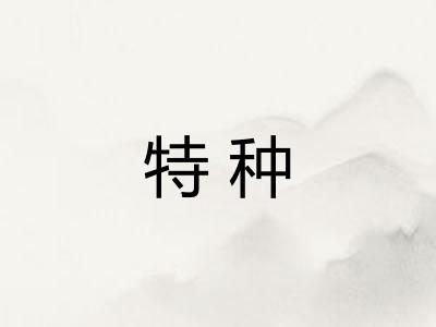 特种 特种
