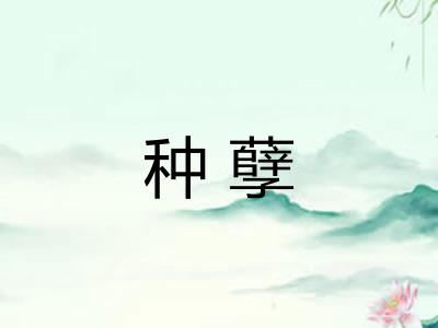 种孽 种孽
