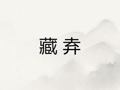 藏弆 藏弆