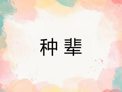 种辈 种辈