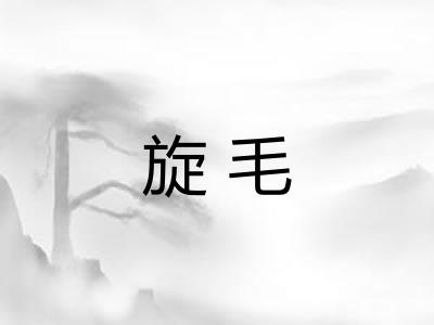 旋毛 旋毛