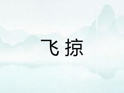 飞掠 飞掠
