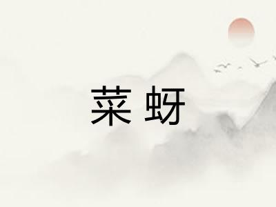 菜蚜 菜蚜