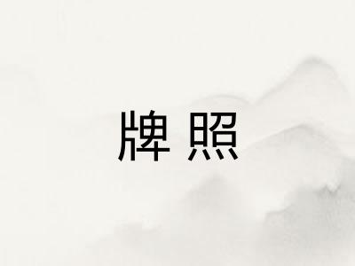 牌照 牌照