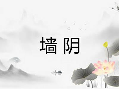 墙阴 墙阴