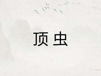 顶虫 顶虫
